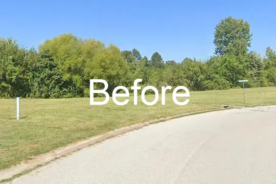 before forest mulch millstadt il