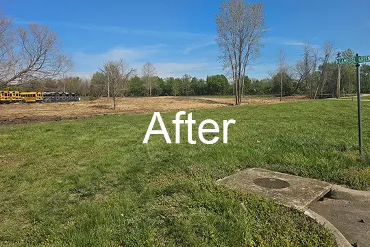 after forest mulch millstadt il